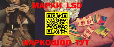 шишки Будённовск