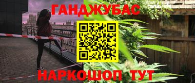 шишки Будённовск
