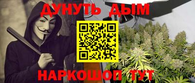 шишки Будённовск