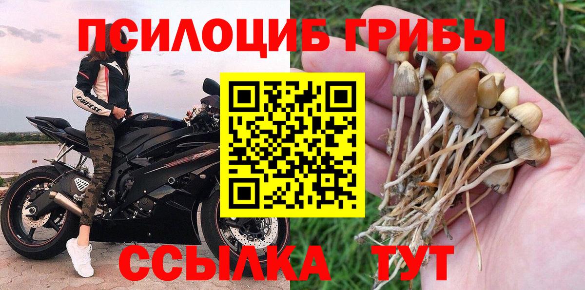 Псилоцибиновые грибы Psilocybine cubensis  Вход с VPN  Рузаевка 